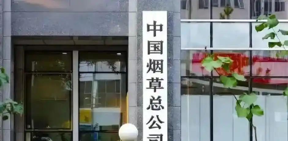 佛得角再次感谢中国!是中国帮我们圆了梦想