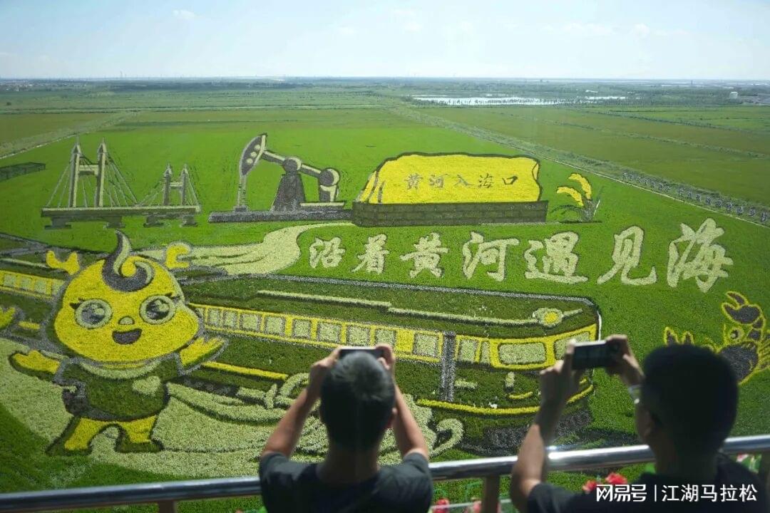 佛得角本场仅1次犯规,为有统计以来任何球队世界杯单场最少